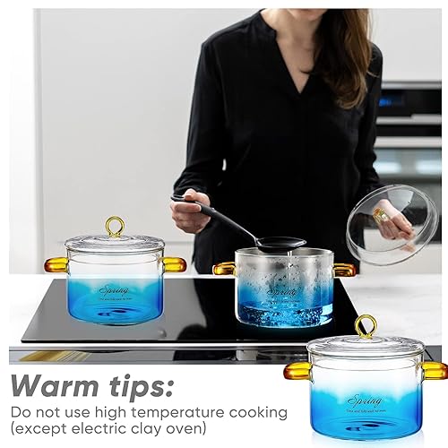 Tanlade Glass Pots for Cooking on Stove oz Borosilicate