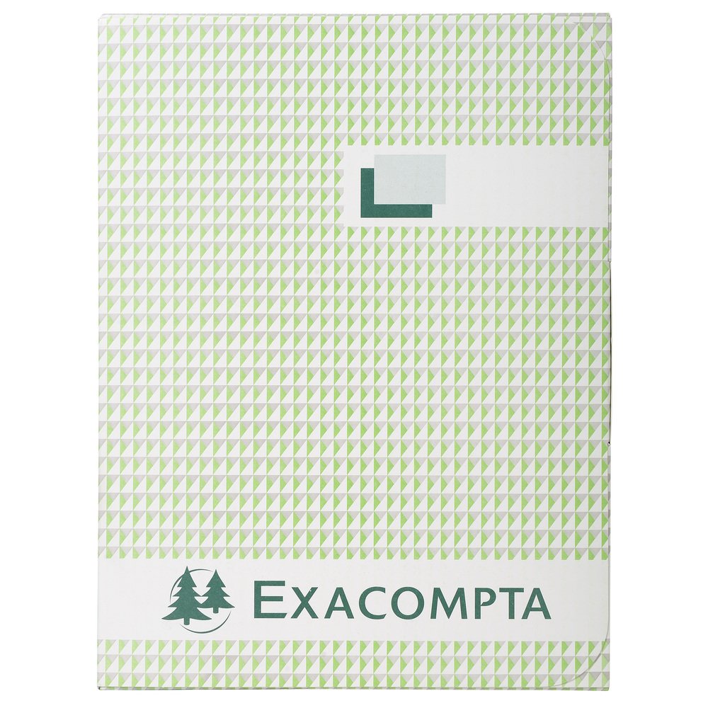 Exacompta - Ref 413E - Accounting Hard Cover Book (300 Pages) - A4 (210 x 297mm) in Size, Squared Rulings, 110gsm Paper - Numbered Pages to Avoid Tampering
