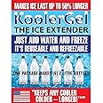KoolerGel The Ice Extender by TBK Industries LLC