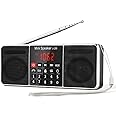 PRUNUS J-288 Portable Radio AM FM Radio with Bluetooth Speaker, Sleep Timer, Power-Saving Display, Ultra-Long Antenna, AUX In