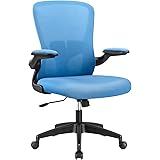 Pawnova Office Chair with Adjustable Armrest Swivel Computer Task Seat with Mesh Back, Ergonomic Waist Support, Blue
