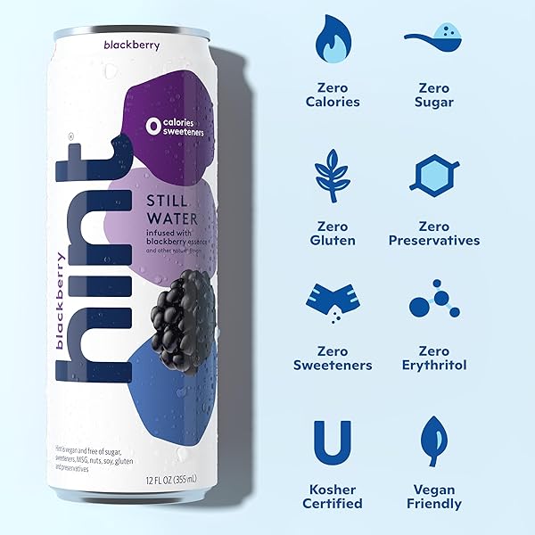 HINT FRUIT-INFUSED CANNED WATER, BLACKBERRY – PURIFIED FLAVORED WATER WITH ZERO CALORIES, NATURAL FLAVORS, AND SUGAR FREE – 12 FL OZ CANS (PACK OF 12)