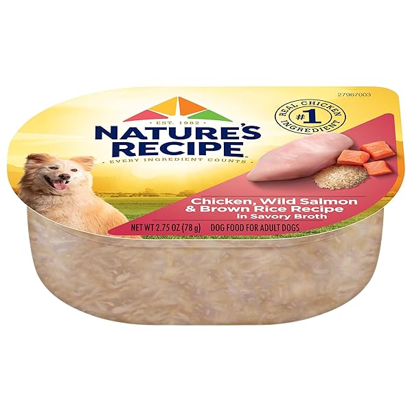 NATURE’S RECIPE WET DOG FOOD, CHICKEN & WILD SALMON IN BROTH RECIPE, 2.75 OUNCE CUP (PACK OF 12)