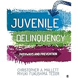 Juvenile Delinquency: Pathways and Prevention