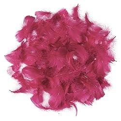 300pcs Maroon Red Feathers 2-3 Inches Bulk Feathers