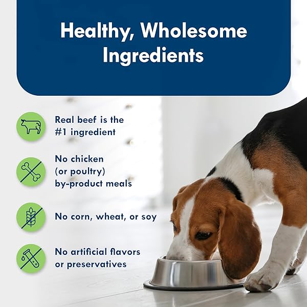 BLUE BUFFALO DELIGHTS NATURAL ADULT SMALL BREED WET DOG FOOD, VARIETY PACK, MADE WITH NATURAL INGREDIENTS, FILET MIGNON & NEW YORK STRIP RECIPE IN HEARTY GRAVY, 3.5-OZ. CUPS (12 COUNT, 6 OF EACH)