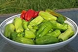 Stavros Pepperoncini Pepper Seeds (15+) by Ohio