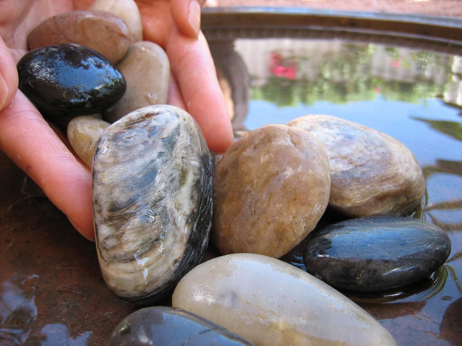 ZISHEN Polished Mixed Pebbles, Pebbles Polished Gravel, Natural Polished Mixed Color Stones, Small Decorative River Rock Stones (2 Pounds-(32-Oz)) : Garden & Outdoor