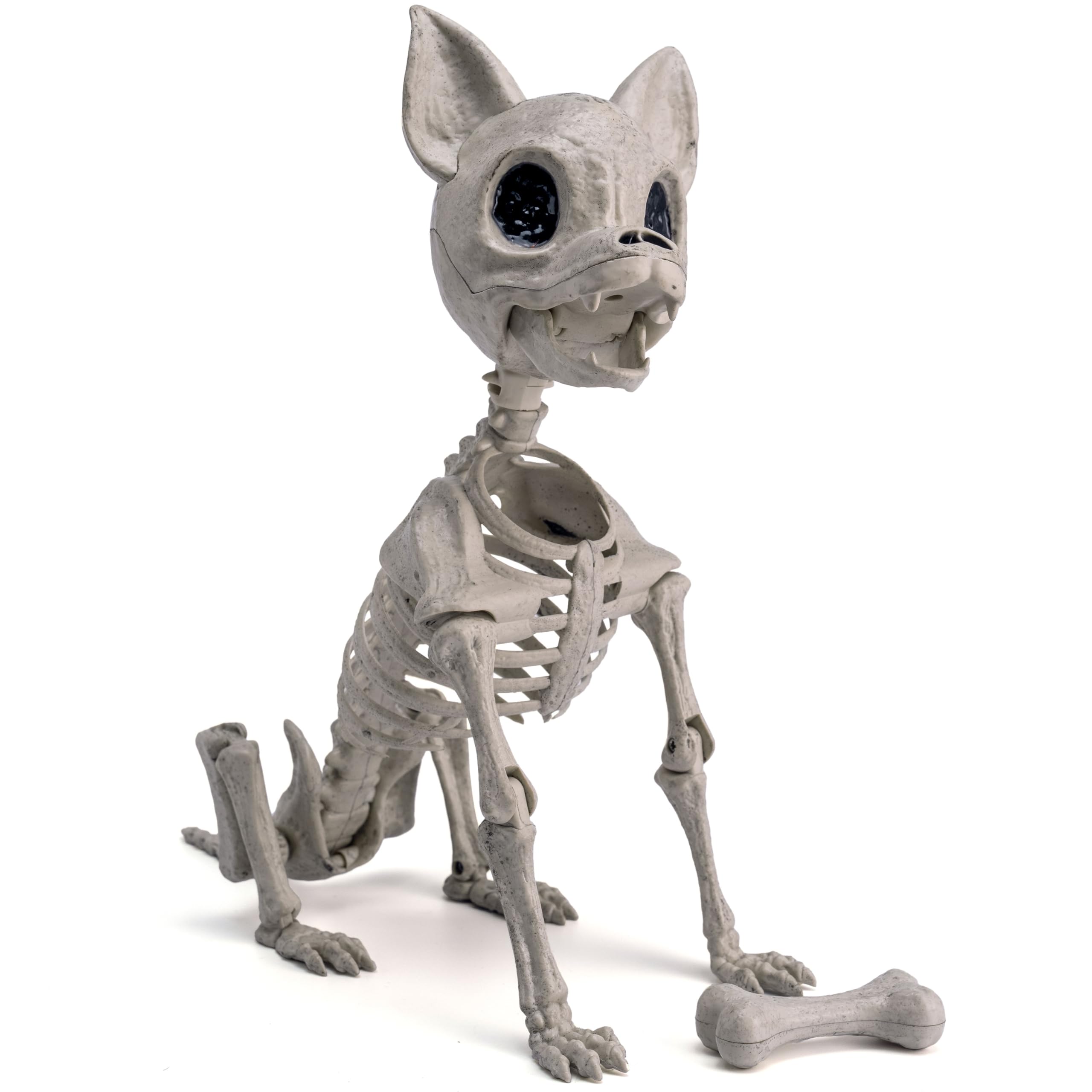 Photo 1 of JOYIN Plastic Chihuahua Dog Skeleton Halloween Decorations 12.6 inches Plastic Puppy Bones Skeleton with Posable Joints for Halloween Indoor Outdoor, Graveyard Party Decor