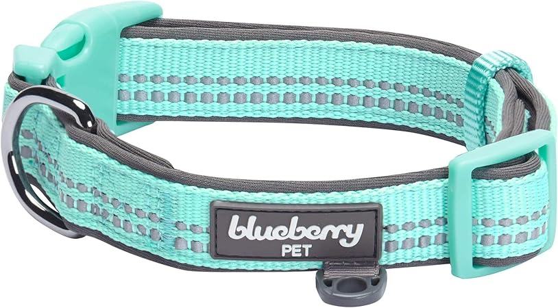 blueberry pet collars amazon