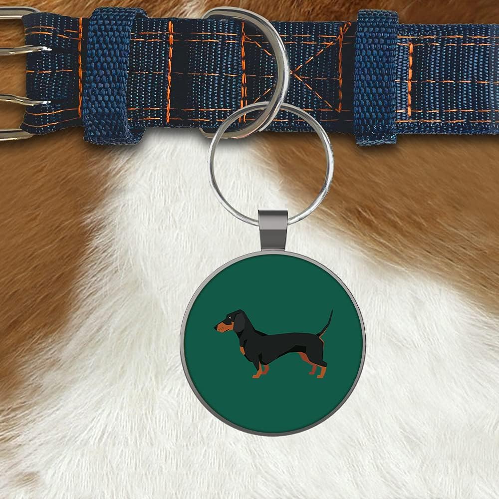 DISONTAG Pet ID Tags, Personalized Dog Tags, Custom Dog Tags, 41 Lifelike Patterns, Unique Information Display|Modifiable : Pet Supplies