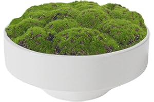 NAHARO New Moss Handmade Ceramic Bowl - 11" Artificial Moss Bowl Centerpiece for Home Decoration, Living Room, Office (Black/White Color Randomly Shipped)