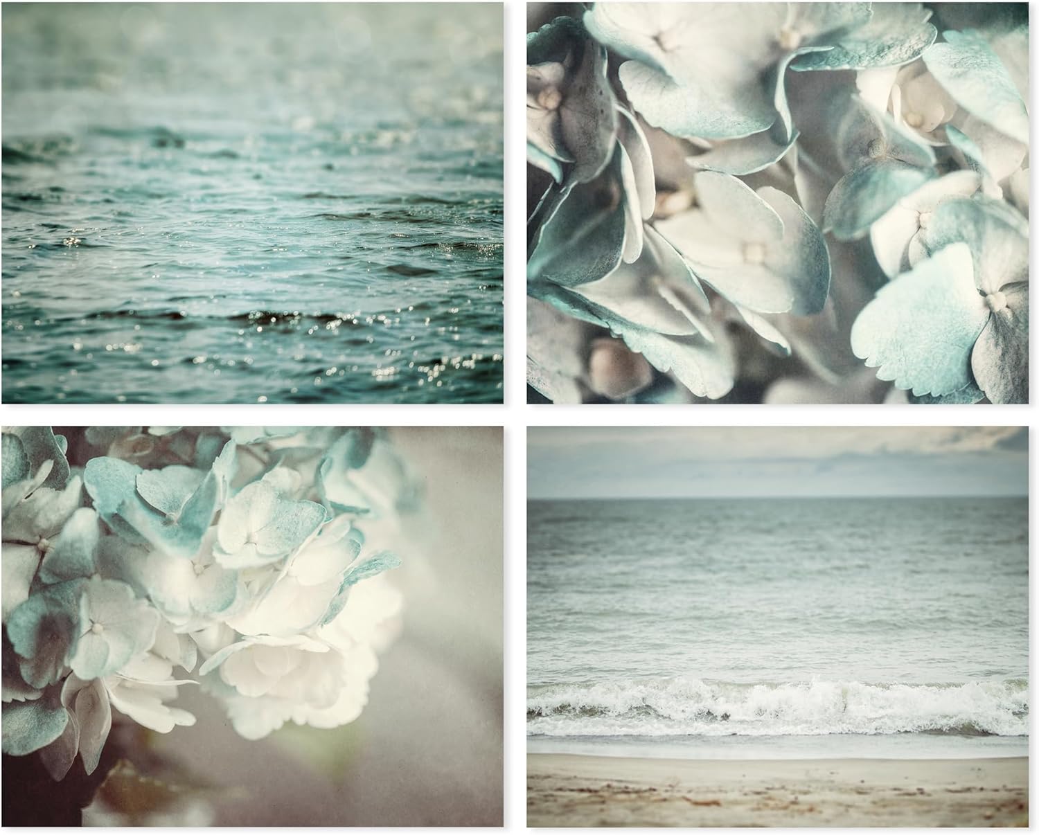 Photographs - LISA RUSSO FINE ART - Pastel Blue Coastal and Floral Wall Art Set of 4 5x7” Unframed Prints - Beach and Flower Photographs for Shabby Chic Bathroom, Bedroom, Nursery or Office Decor