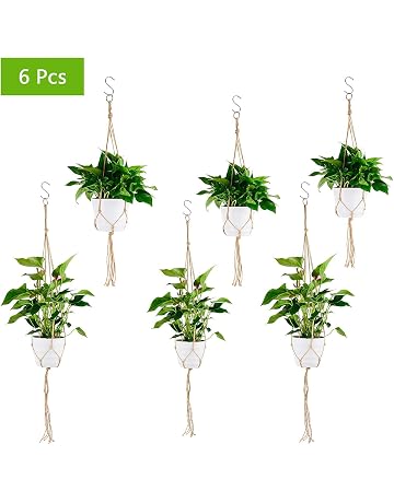 Amazon.es: Recipientes para plantas y accesorios: Jardín ...