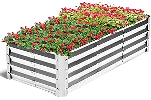 Highpro Galvanized Raised Garden Bed Kit, 4×2×1ft Planter Box for Outdoor Gardening and Planting, Large Bottomless Metal for Vegetables, Herb, Fruits, Flower, Silver
