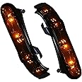 X AUTOHAUX Pair LED Rearview Mirror Turn Signal Light Indicator Lamp for Mercedes-Benz S-Class 1999-2002 CL-Class W215 1999-2003