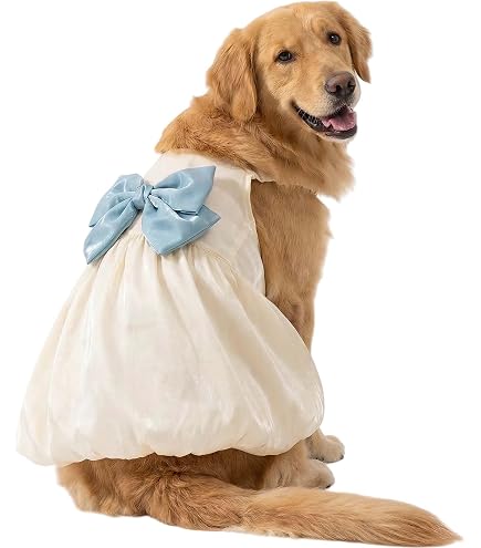 golden retriever wedding dress Golden Retriever Wedding Dog