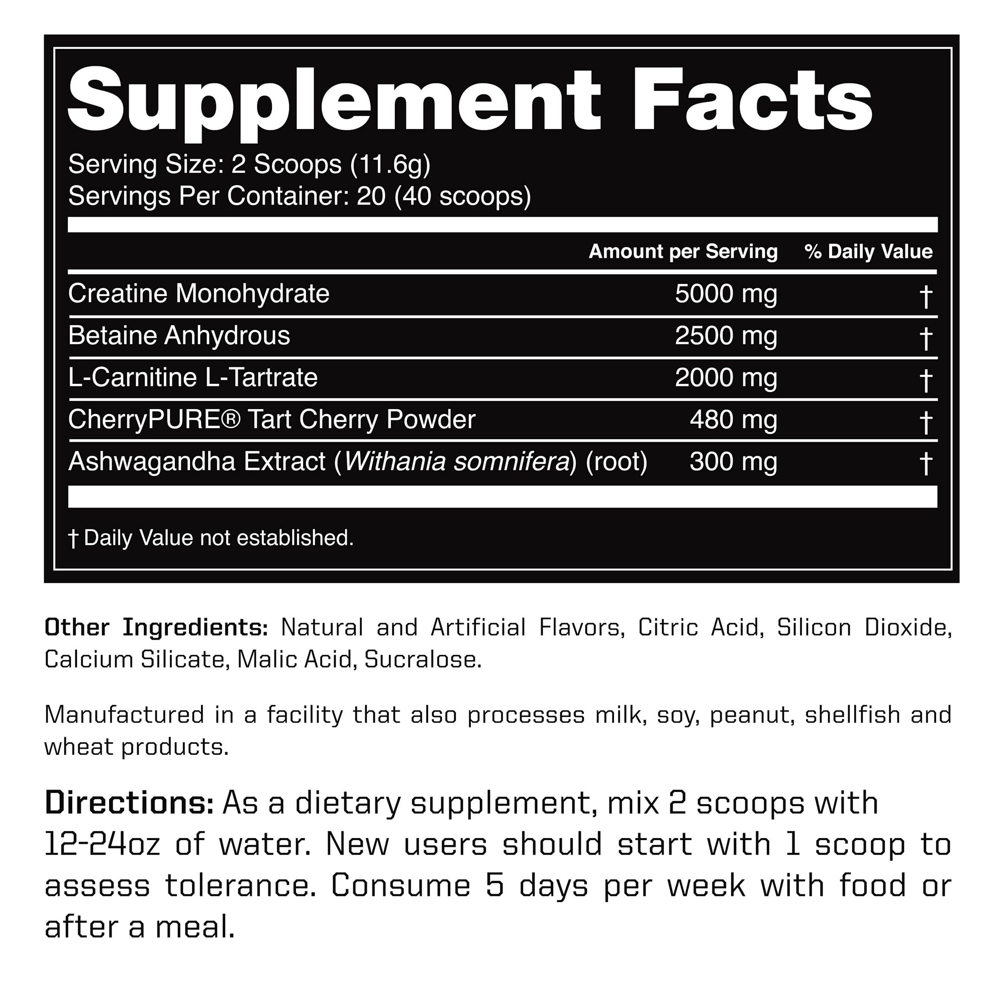 Outwork Nutrition Post Workout Recovery Powder - Creatine Monohydrate, KSM-66 Ashwagandha & Tart Cherry - Speeds Recovery, Eases Soreness - Creatine Powder for Men & Women, Berry Splash, 240 Gr