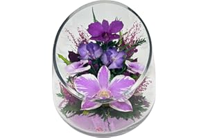 FIORA LIVING FLOWER Fiora Flower | Long Lasting Orchids| Lasts up to 5 Years | No Water Need | Allergy Free | Odor Resistant | Unique Present Gift (Vase 10)
