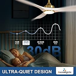 BvenuBigLite Ceiling Fan with Light Modern: 52 Inch
