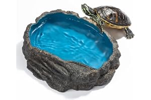 C-leen Reptile Food Dish Bowl, Amphibian Reptile Feeding Dish for Lizard, Gecko, Bearded Dragon, Chameleon, Leopard Gecko, Frog, Turtle, Rock Reptile Water Dish - Blue, Large