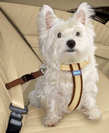 amazon uk dog car harness