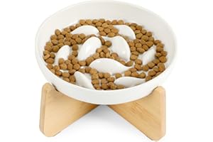 PETTOM Slow Feeder Cat Bowl with Stand, Ceramic Slow Eating Cat Bowl with Higher Edges Fish Pool Design Elevated Food Bowls for Dry and Wet Food Anti-Vomiting Puzzle Feeder for Healthy Eating Diet