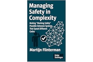 Managing Safety in Complexity: Making 'Working Safely' Possible Between Systems That Speak Different Codes (Risk + Safety / S