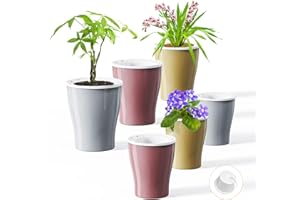 HEMOPLT Plant Pots - Self Watering Pots for Indoor Plants - 5" / 6.7" Planters for Indoor Plants - Pack of 6 Flower Pots - African Violet Pots - Orchid Pot - Gold - Silver - Rose Gold
