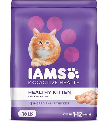 Dry Cat Food PERFECT PORTIONSu2122 Kitten Wet Cat Food Chicken