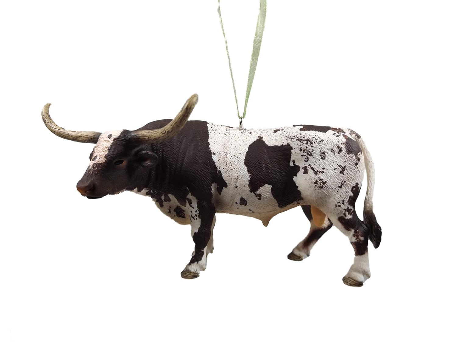 Male Texas Longhorn Bull Cattle