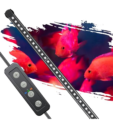 Amazon.com : Mayin Arowana Tanning Light Aquarium Special Color