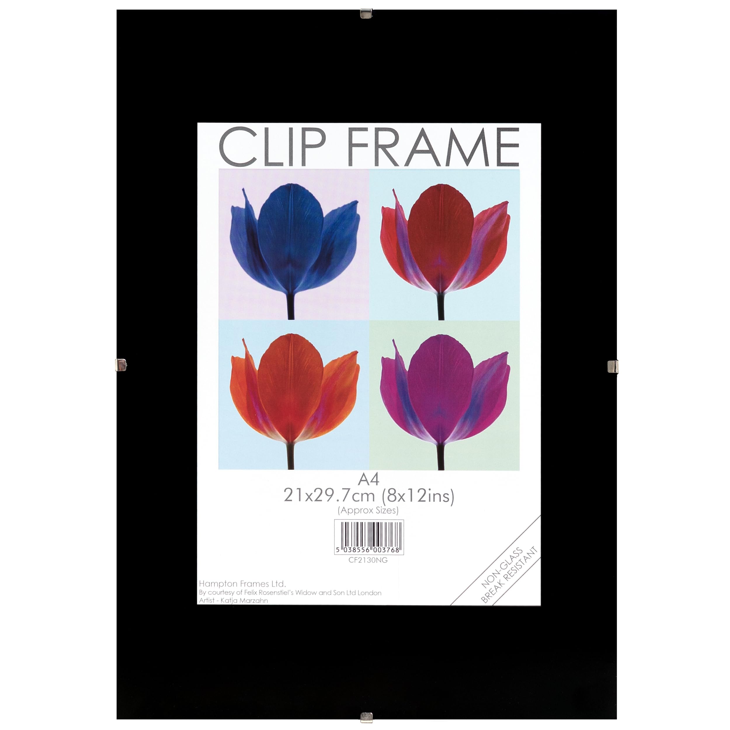 Hampton Frames CLIP FRAME Photo Frame Poster Certificate Display Frame Acrylic Aperture (Non Glass) A4 (21x30cm) CF2130NG