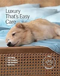REST® Evercool® Cooling Comforter, Twin/Twin