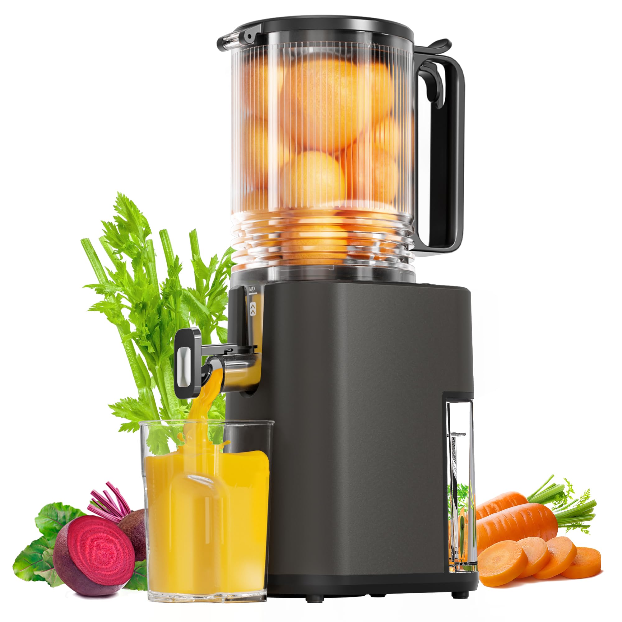 Cold Press Juicer, 5.5inch Wide Feed Chute Juicer Machine, Slow Masticating Juicer for Whole Vegetables & Fruits, Gray Image