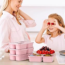 Bento Box for Adults and Snack Containers Set of 4