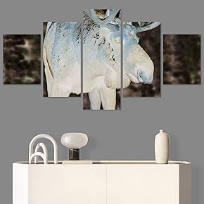 SIGNWIN 5 Panel Canvas Wall Art Modern Art...