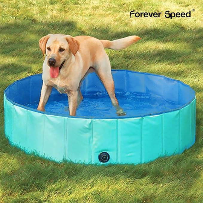 Forever Speed Hundepool Doggy Pool Swimming Pool Badewanne Pool