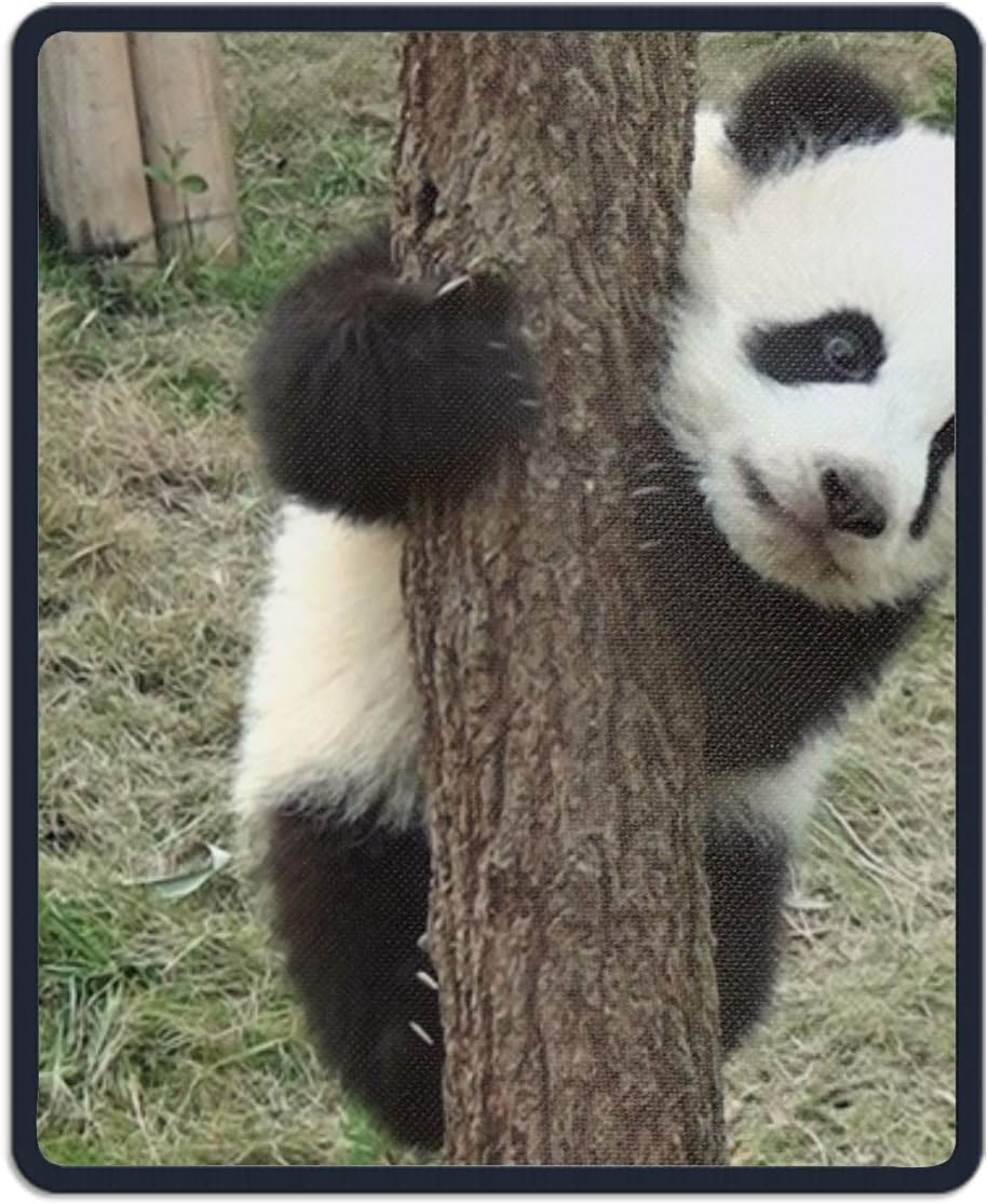 Amazon Com Baby Panda Funny Design Personalized Rectangle Mouse