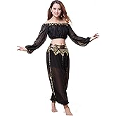 ZLTdream Belly Dance Chiffon Long Sleeves Top and Lantern Coins Pants Black, One Size