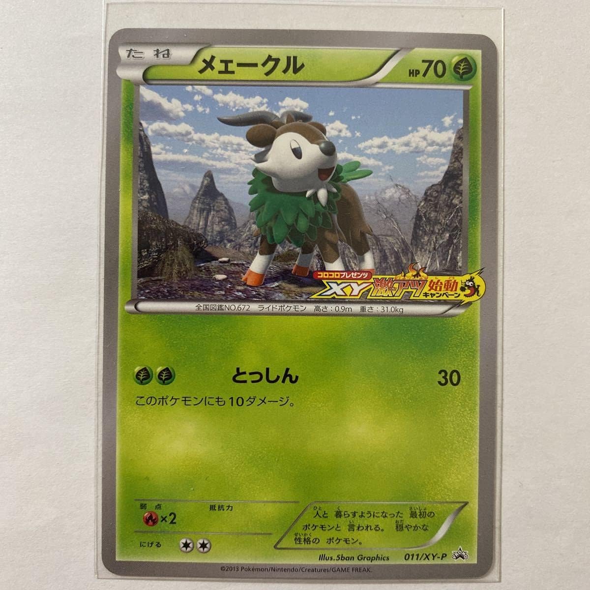 Amazon ポケモンカードxy プロモ メェークル 在庫1 コロコロプレゼンツ Xy 激アツ始動キャンペーン 限定 おもちゃ ホビー