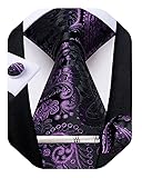 DiBanGu Silk Paisley Ties for Men Woven Necktie and