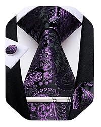 DiBanGu Silk Paisley Ties for Men Woven Necktie and