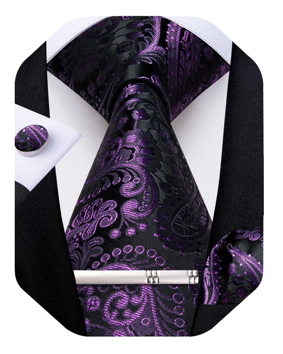 DiBanGu Silk Paisley Ties for Men Woven Necktie and