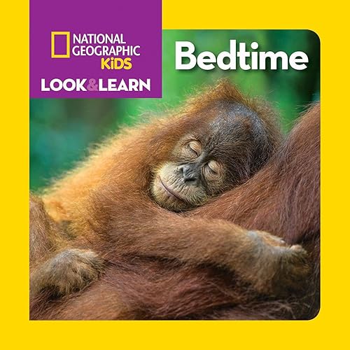 Download Look & Learn: Bedtime PDF