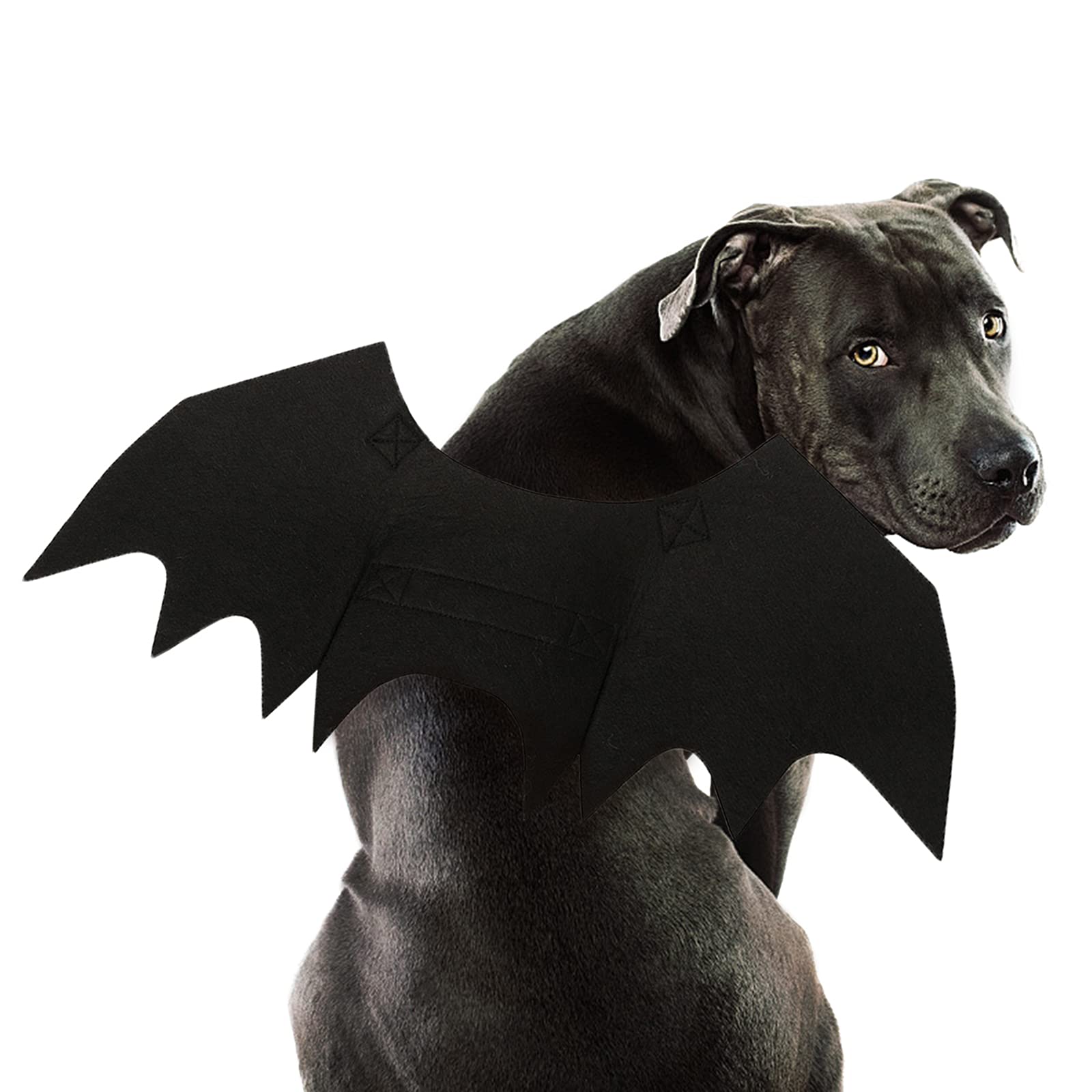 RANYPET Dog Bat Wings,Halloween Dog Bat Costume Dogs Halloween Costumes for Medium to Large Dogs Cat Costume for Party Cosplay Photography L