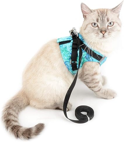 step in cat harness