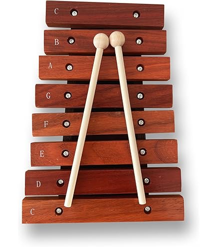 Amazon.com: Zenon No.184WA Compact Xylophone, Green, Made in Japan