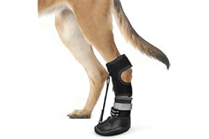 Idepet Dog Drop Foot Brace Strap On (No Knuckling Boot Brace) — Dog Boot Leg Braces for Leg Support, Dog Shoes Lift Toes for Foot Issues, Arthritis, Pet Corrector for Dogs (6)