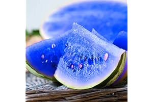 QAUZUY GARDEN 100 Rare Blue Watermelon Seeds for Planting, Sweet, Juicy, Non-GMO Heirloom Fruit Seeds, Easy-Growing Delicious Fruit for Garden Outdoor